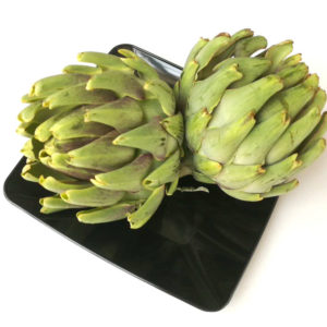 آرتیشو کنگر فرنگی ARTISHO