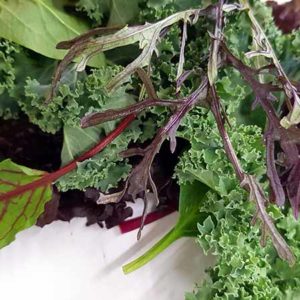 میکس سبزیجات سالادی به همراه آجیل سالاد مزرعه ارگانیک