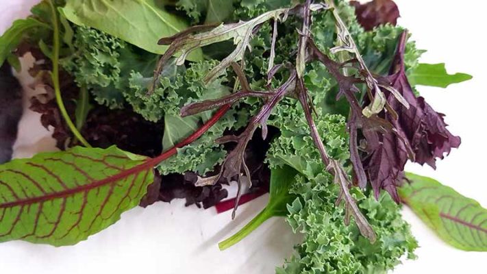میکس سبزیجات سالادی به همراه آجیل سالاد مزرعه ارگانیک